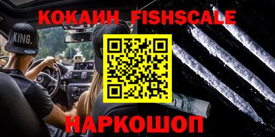 Альфа ПВП Моздок