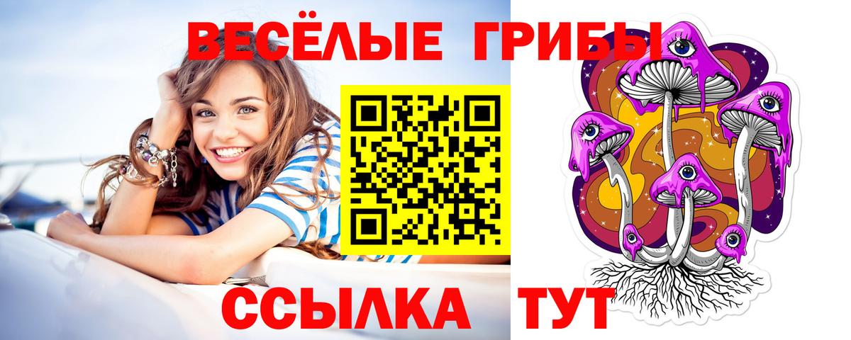 Галлюциногенные грибы ЛСД Чистополь