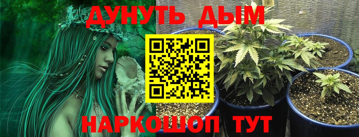 Бошки марихуана Ganja Чистополь
